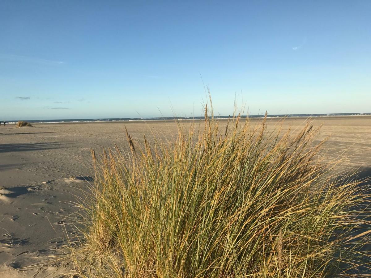 Strandlogement Om De Noord Схирмоннинг Экстерьер фото